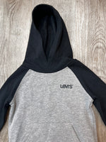 Levi’s Colorblock PullOver Graphic Logo Hoodie