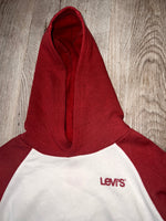 Levi’s Colorblock PullOver Graphic Logo Hoodie