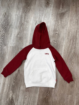 Levi’s Colorblock PullOver Graphic Logo Hoodie